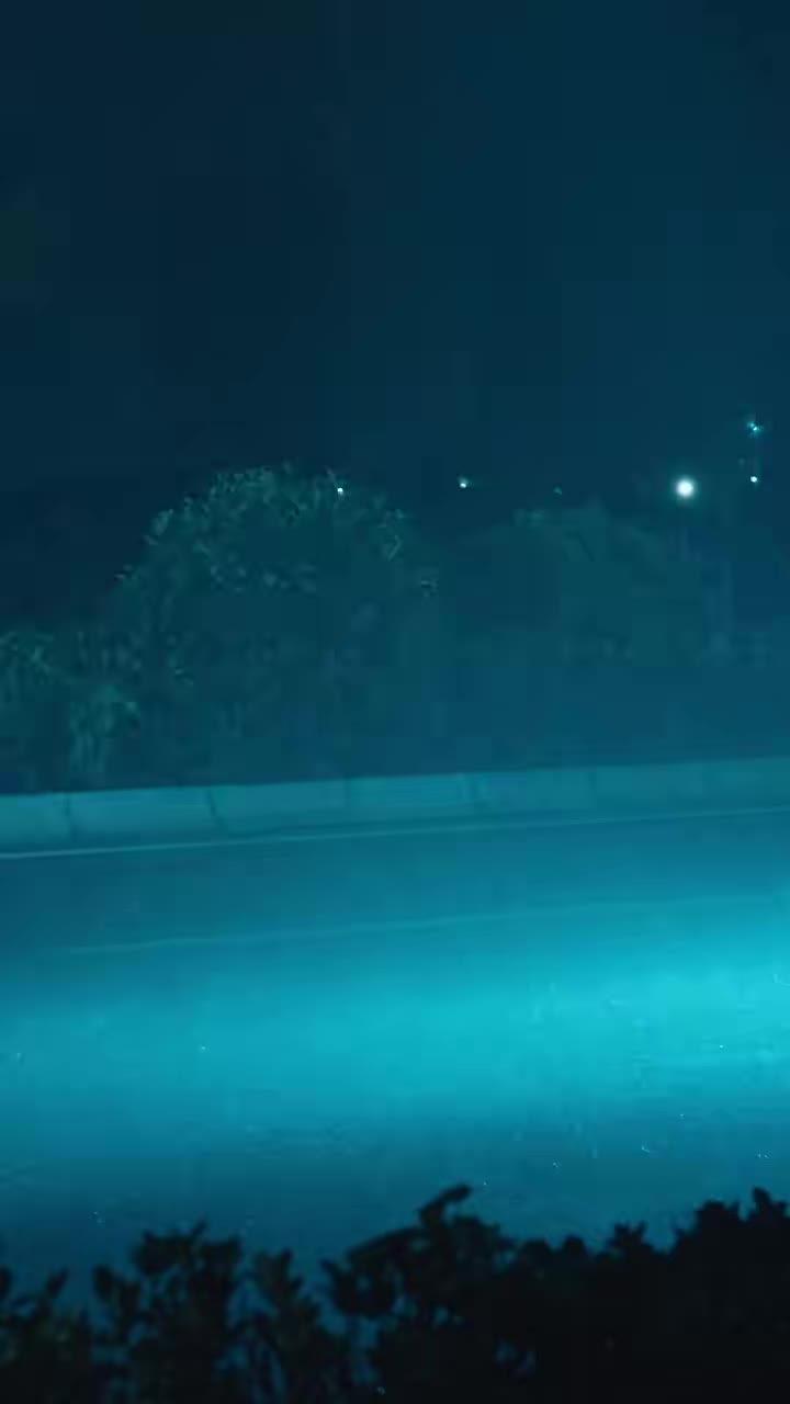 Kayıp Deha izle